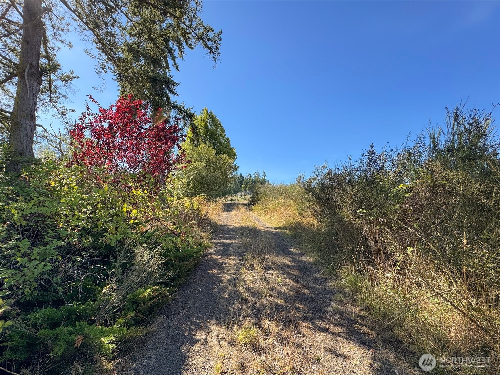 463 Miller Road Sequim, WA 98382 - Photo 27 of 39