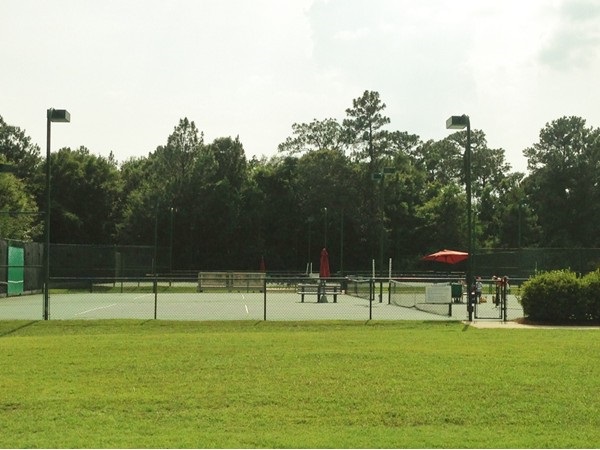 29910 Dolive Ridge Daphne, AL 36527 - Photo 3 of 6