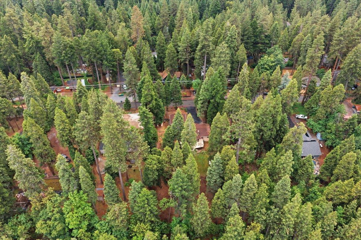 6775 Ridgeway Drive Pollock Pines, CA 95726 - Photo 48 of 54