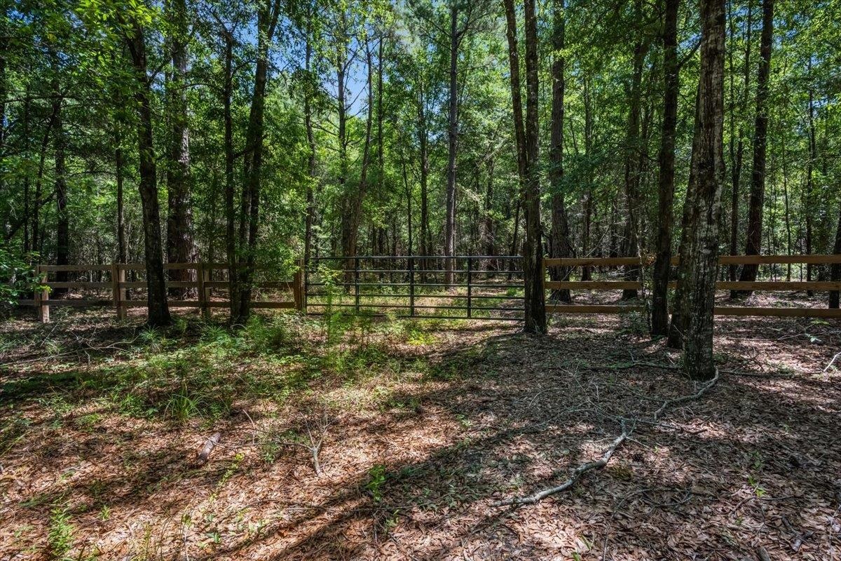 Tbd 5.3-acres Tbd 5.3-acres Springtown Road Bamberg, SC 29003 - Photo 2 of 11