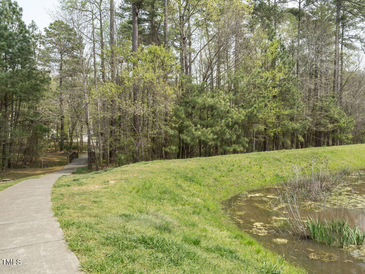 16 Richardson Circle Durham, NC 27713 - Photo 34 of 35 a view of a yard with large trees