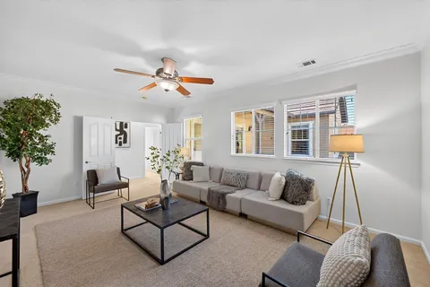 a living room with furniture and a potted plant