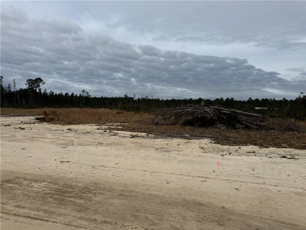 Lot 8 Wiregrass Lane, Unit 8 Waycross, GA 31503 - Photo 5 of 6 Photo 5