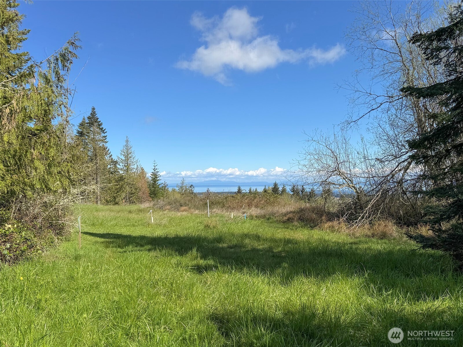 9999 Elk Pass Road Sequim, WA 98382 - Photo 21 of 40