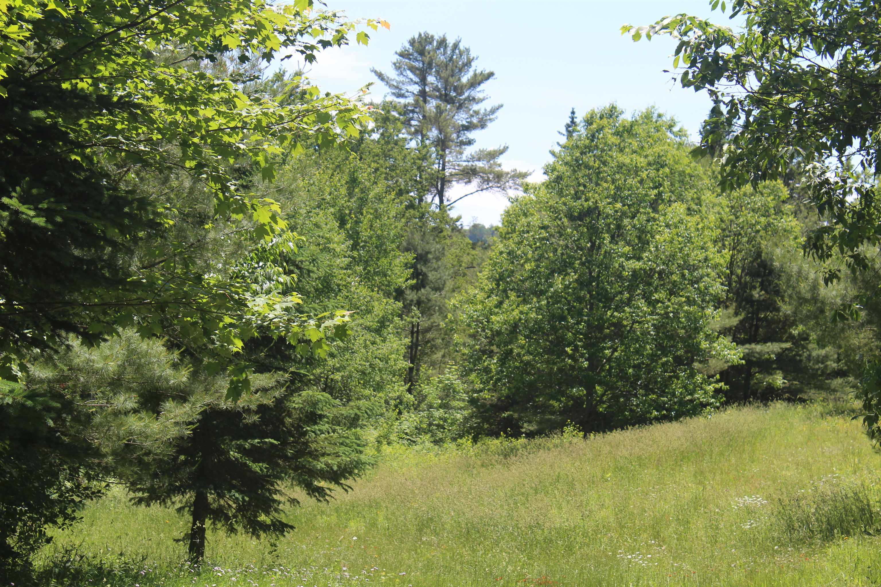 0 Keiser Pond Road West Danville, VT 05873 - Photo 3 of 17 Gallery Image 3
