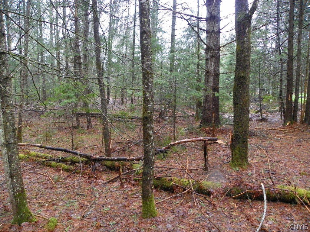 548 County Rte 18 Lake Clear, NY 12945 - Photo 14 of 16