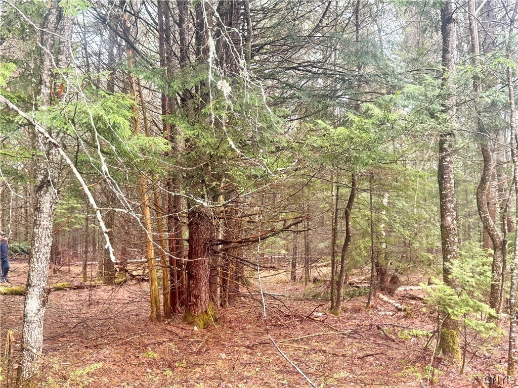 548 County Rte 18 Lake Clear, NY 12945 - Photo 10 of 16