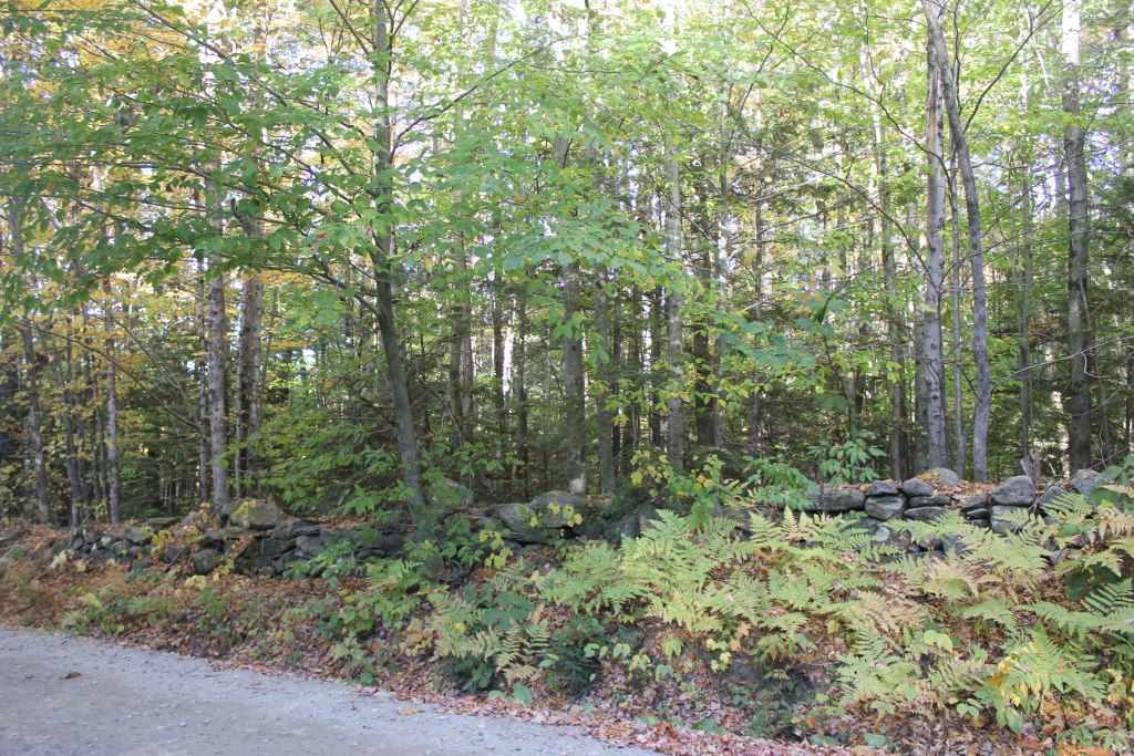 Snell Road Chester, VT 05143 - Photo 1 of 3