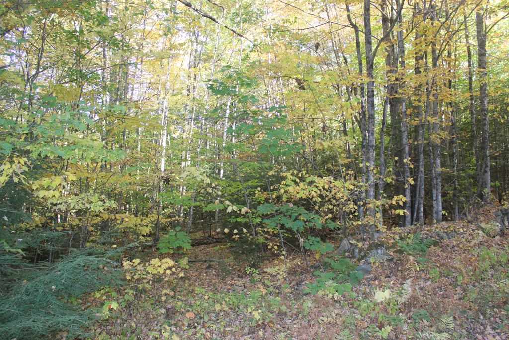 Snell Road Chester, VT 05143 - Photo 3 of 3