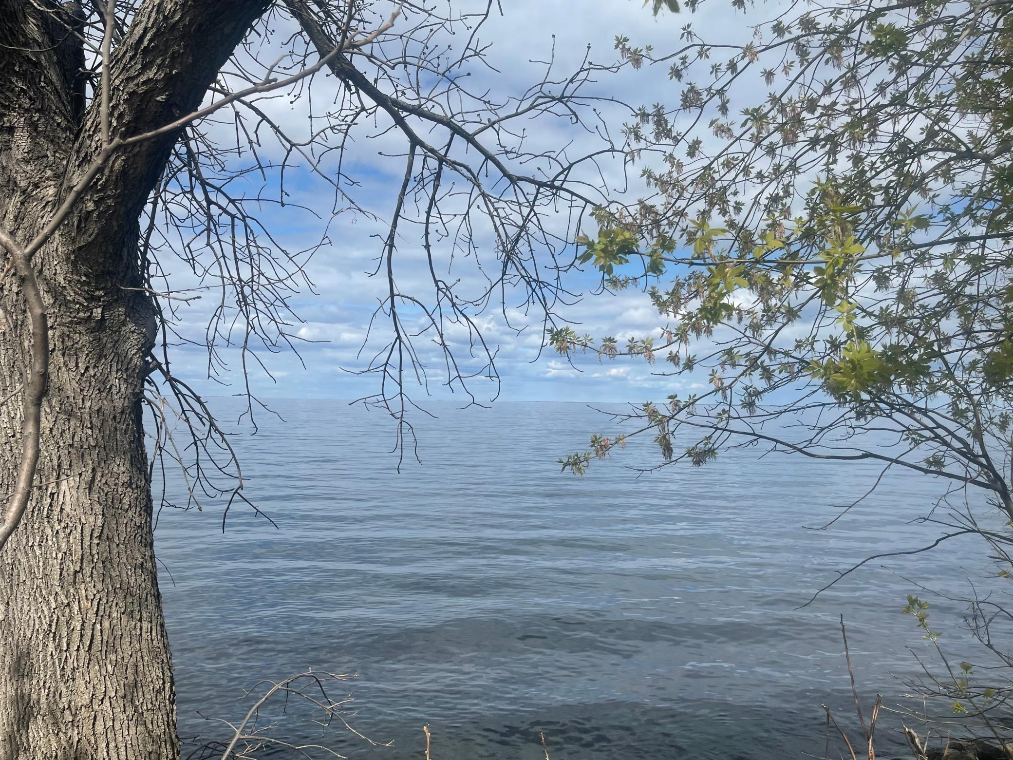 46775 Earle Brown Drive Garrison, MN 56450 - Photo 11 of 19