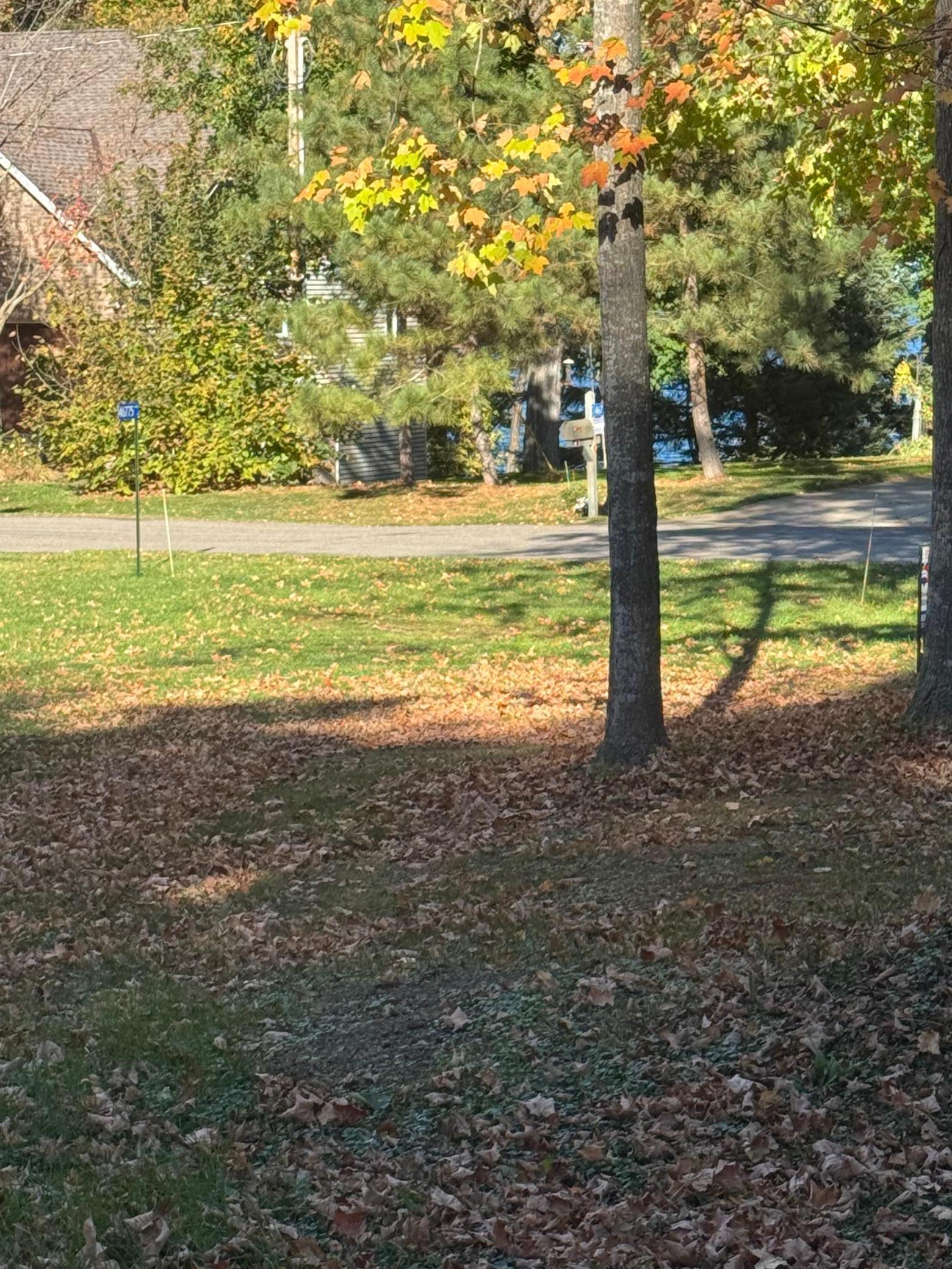 46775 Earle Brown Drive Garrison, MN 56450 - Photo 3 of 19