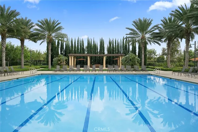 a view of a yard with palm trees