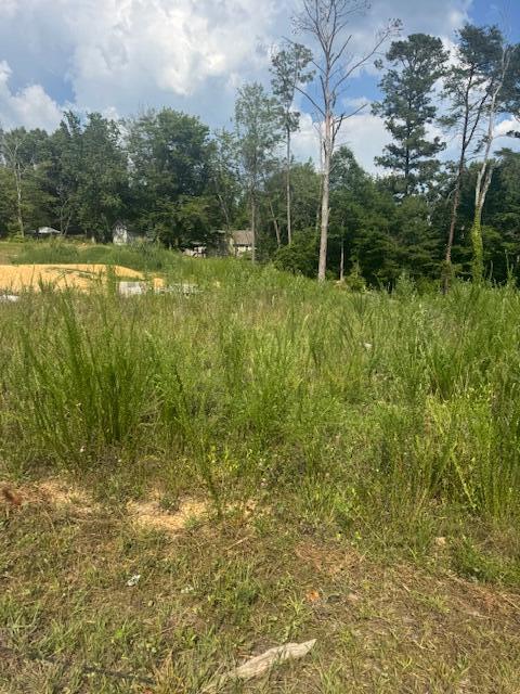 312 Windsong Drive LaFayette, GA 30728 - Photo 2 of 11 IMG_7705