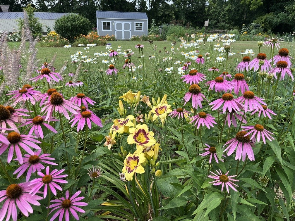 100 Ladybug Lane Bethpage, TN 37022 - Photo 4 of 56 a view of a flower