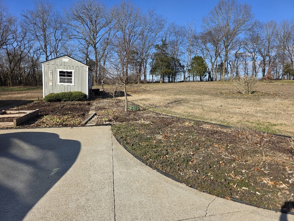 100 Ladybug Lane Bethpage, TN 37022 - Photo 45 of 56 a street view with large trees