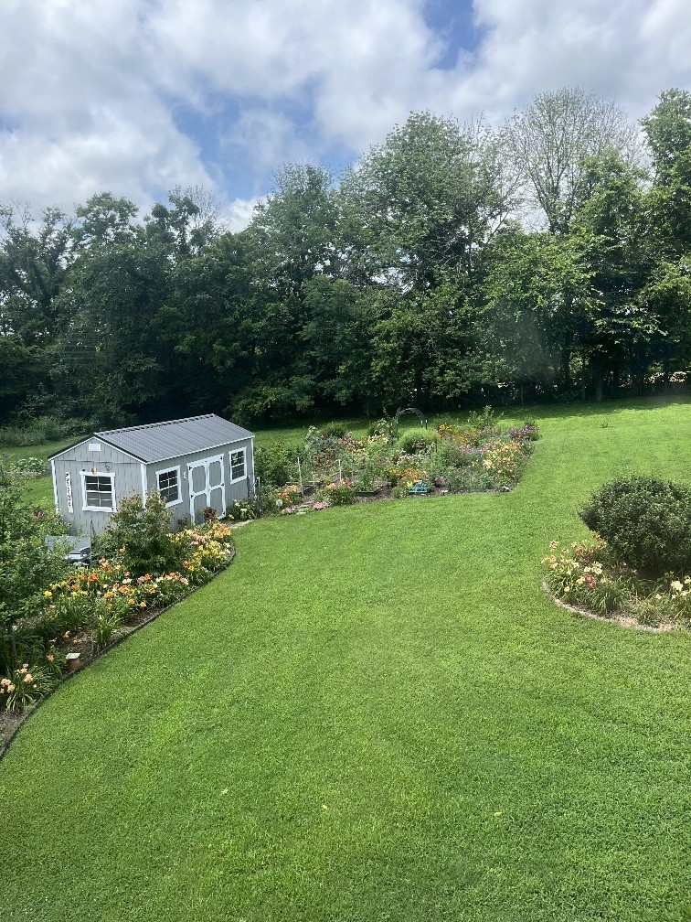 100 Ladybug Lane Bethpage, TN 37022 - Photo 55 of 56 a front view of a house with garden