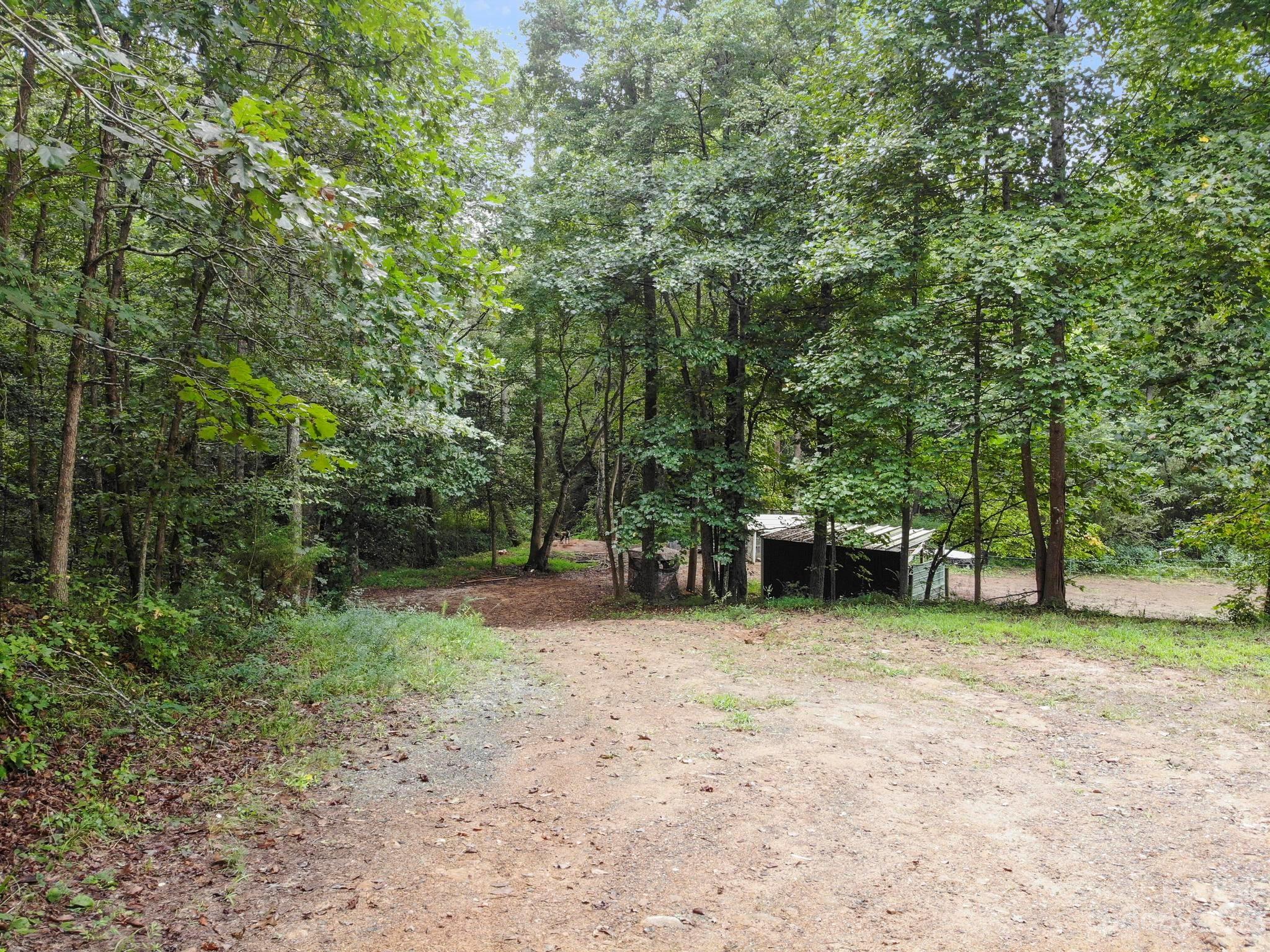 601 St Paul Church Road Casar, NC 28020 - Photo 11 of 33 a view of a field with trees in the background