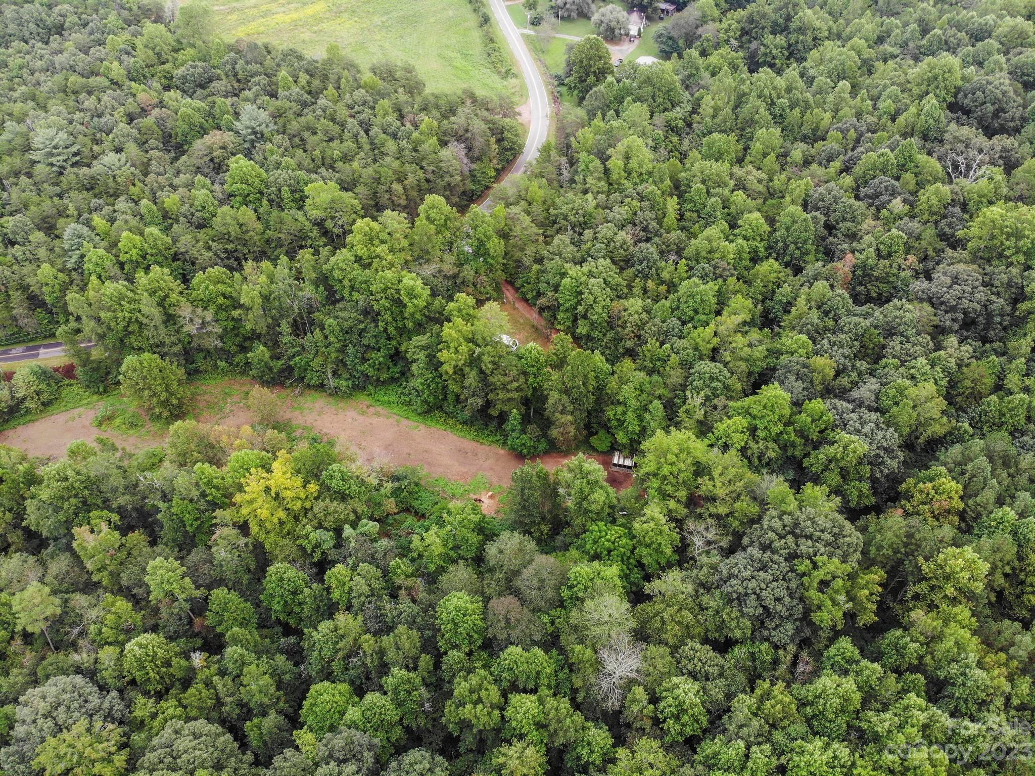 601 St Paul Church Road Casar, NC 28020 - Photo 13 of 33 a view of a forest with a tree