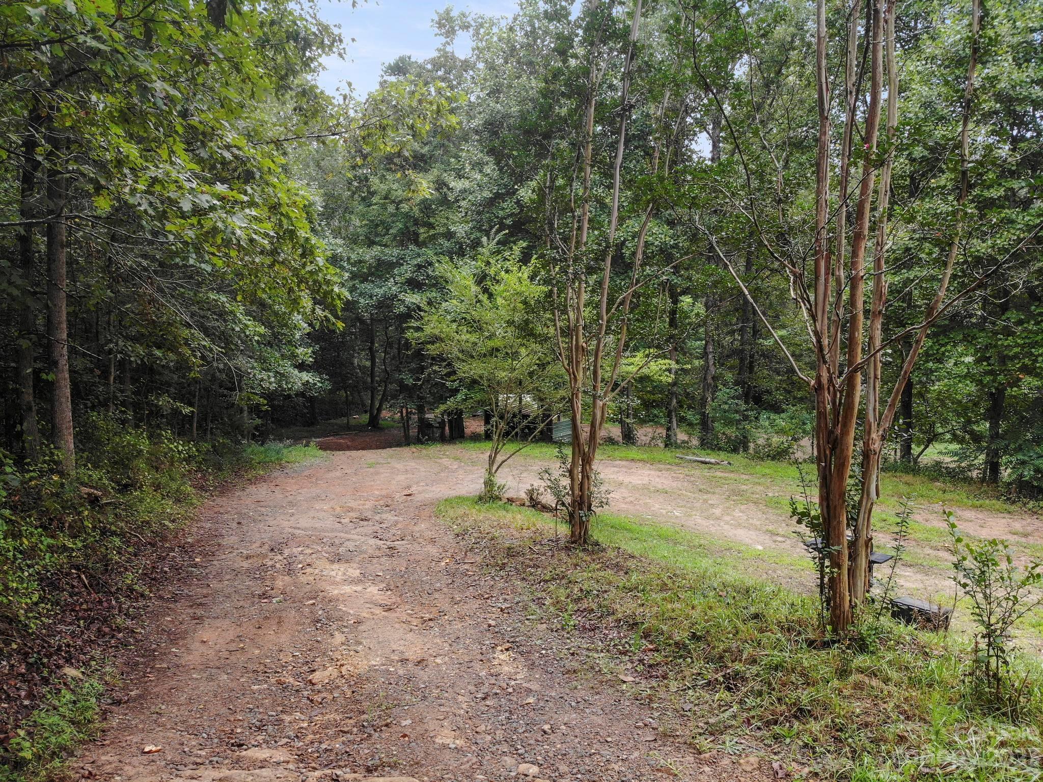 601 St Paul Church Road Casar, NC 28020 - Photo 16 of 33 a view of a forest with trees