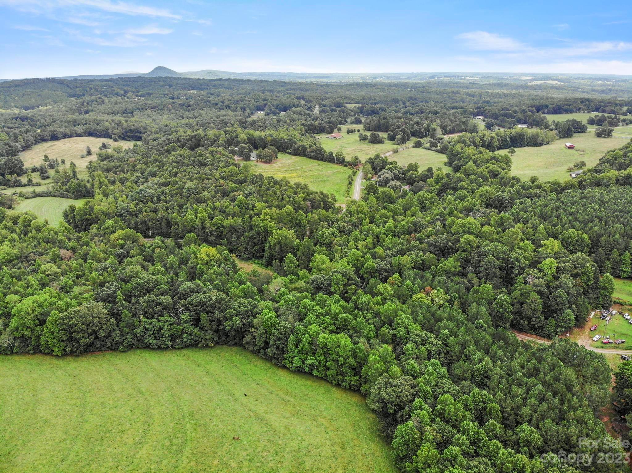 601 St Paul Church Road Casar, NC 28020 - Photo 19 of 33 an aerial view of residential houses with outdoor space and trees
