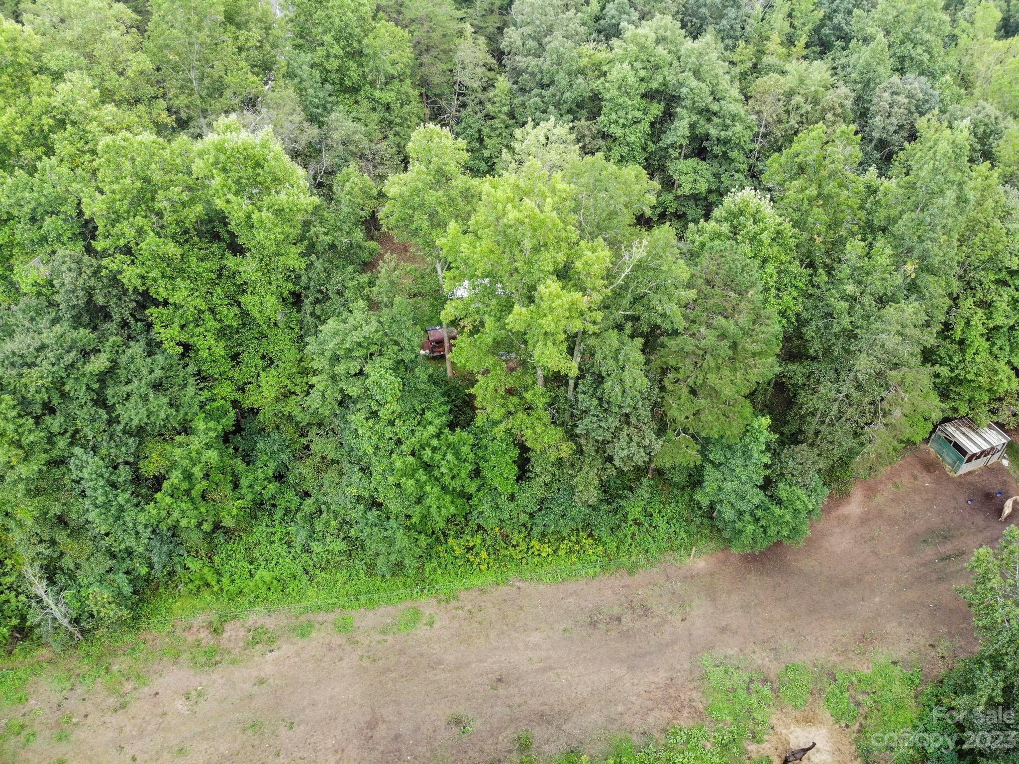 601 St Paul Church Road Casar, NC 28020 - Photo 28 of 33 a view of a plants with pathway