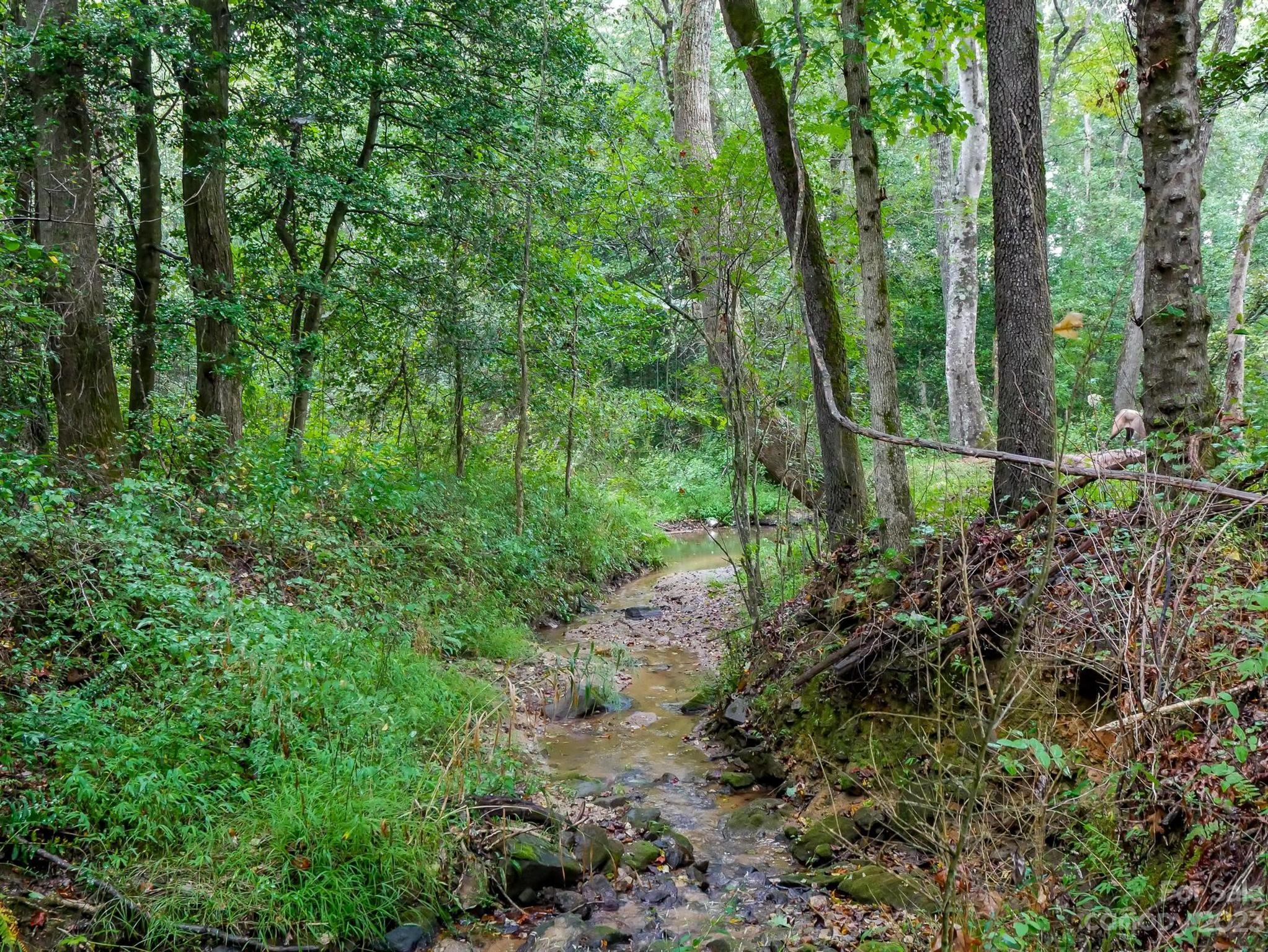 601 St Paul Church Road Casar, NC 28020 - Photo 6 of 33 a view of a lush green forest