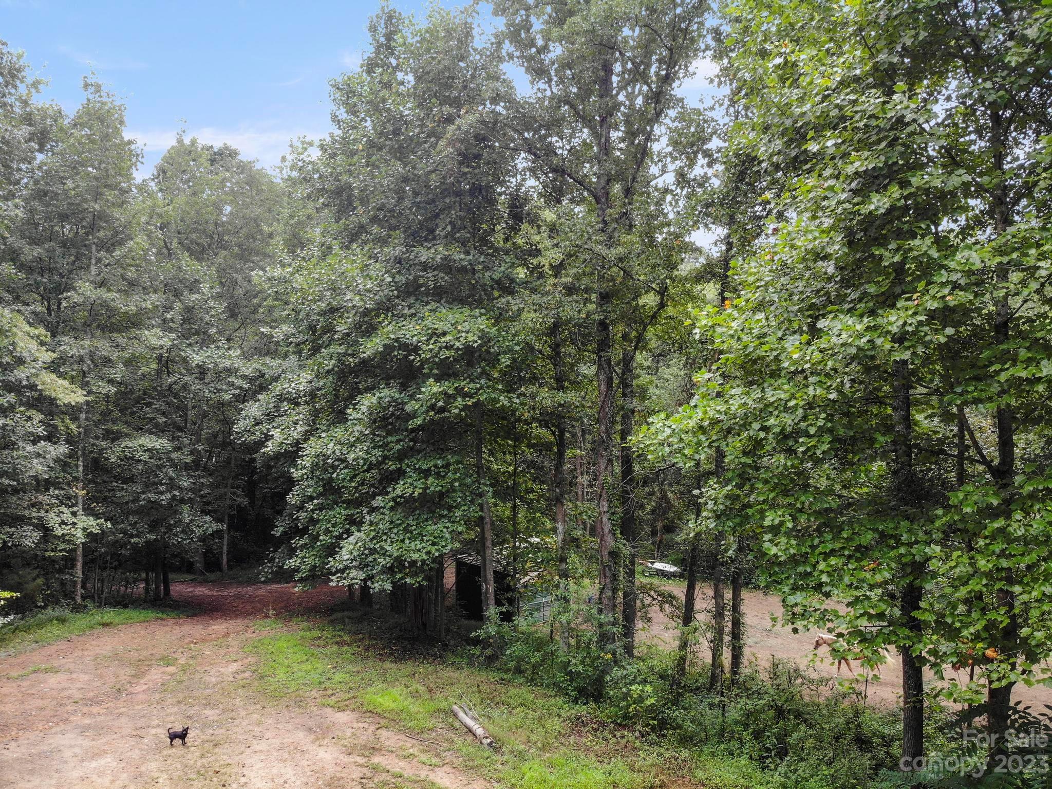 601 St Paul Church Road Casar, NC 28020 - Photo 7 of 33 a view of a backyard with large trees