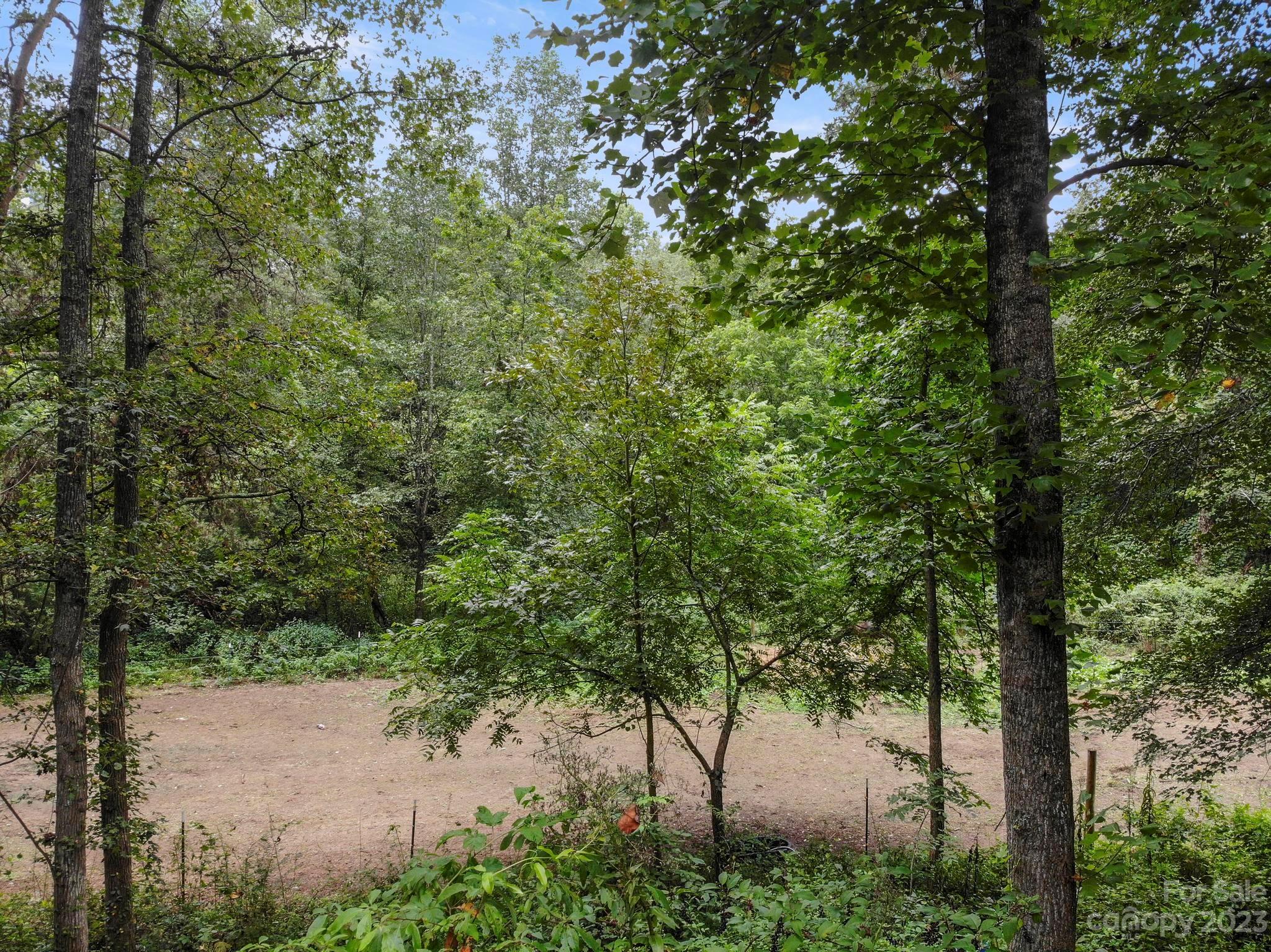 601 St Paul Church Road Casar, NC 28020 - Photo 8 of 33 a view of a yard with a tree