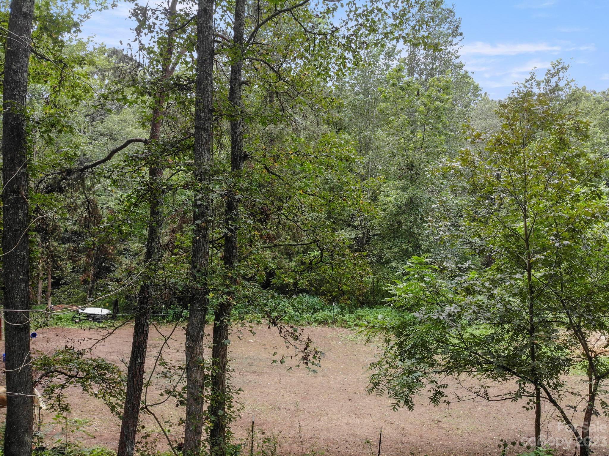 601 St Paul Church Road Casar, NC 28020 - Photo 9 of 33 a view of a yard with a tree