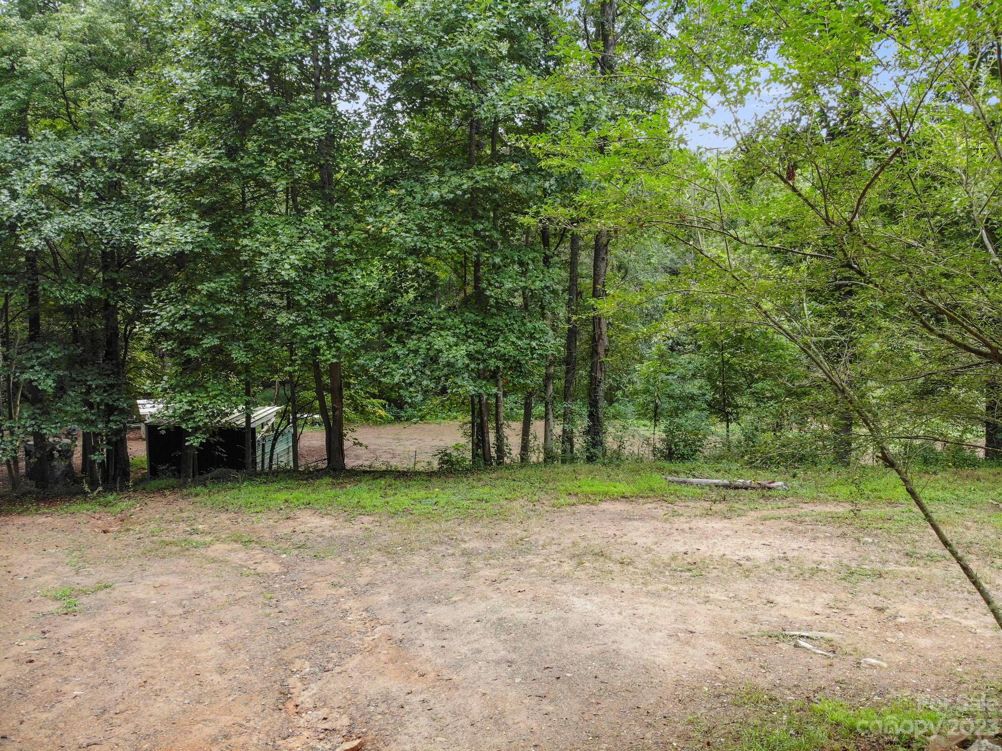 601 St Paul Church Road Casar, NC 28020 - Photo 10 of 33 a view of a trees in a yard