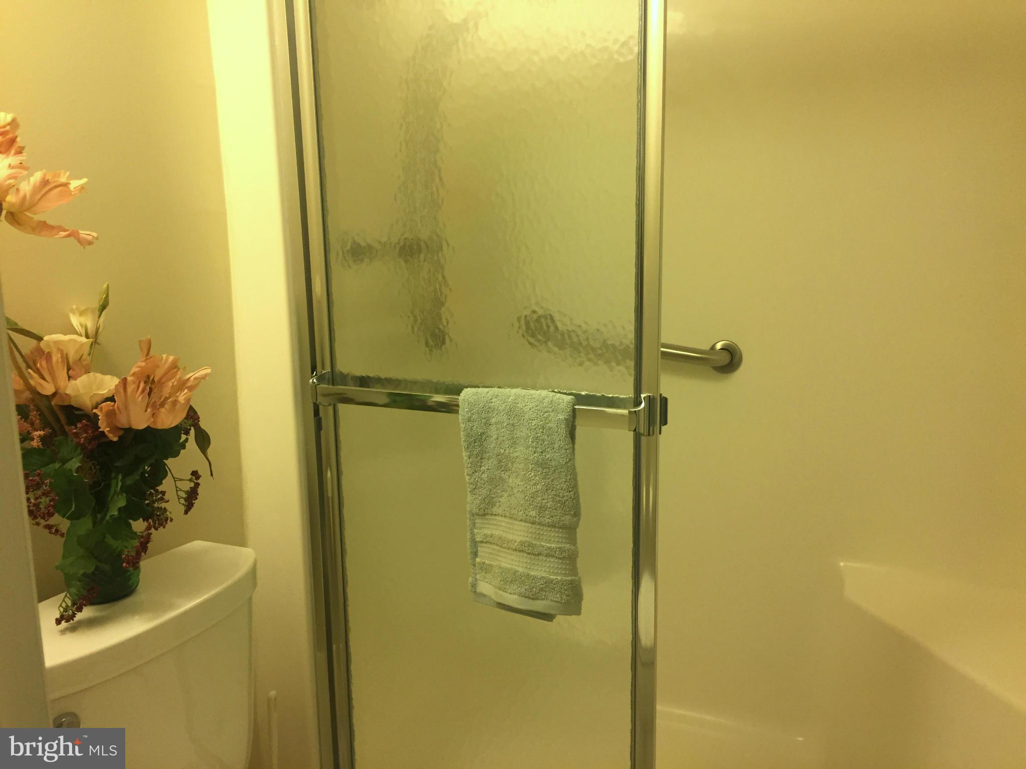 15026 Eardley Court, Unit 280F Silver Spring, MD 20906 - Photo 11 of 30 OWNER'S STEP-IN SHOWER, GLASS DOOR, GRAB BAR