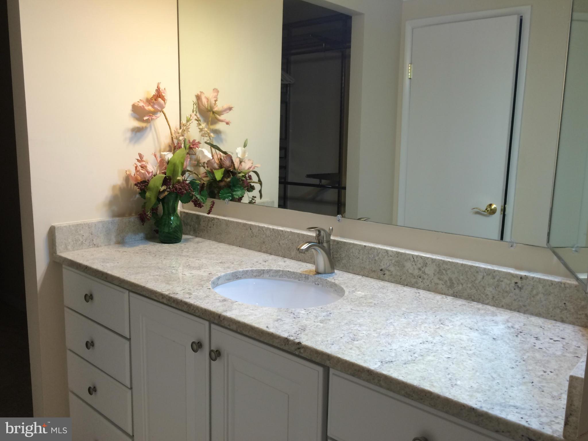 15026 Eardley Court, Unit 280F Silver Spring, MD 20906 - Photo 9 of 30 UPDATED VANITY W/ GRANITE TOP