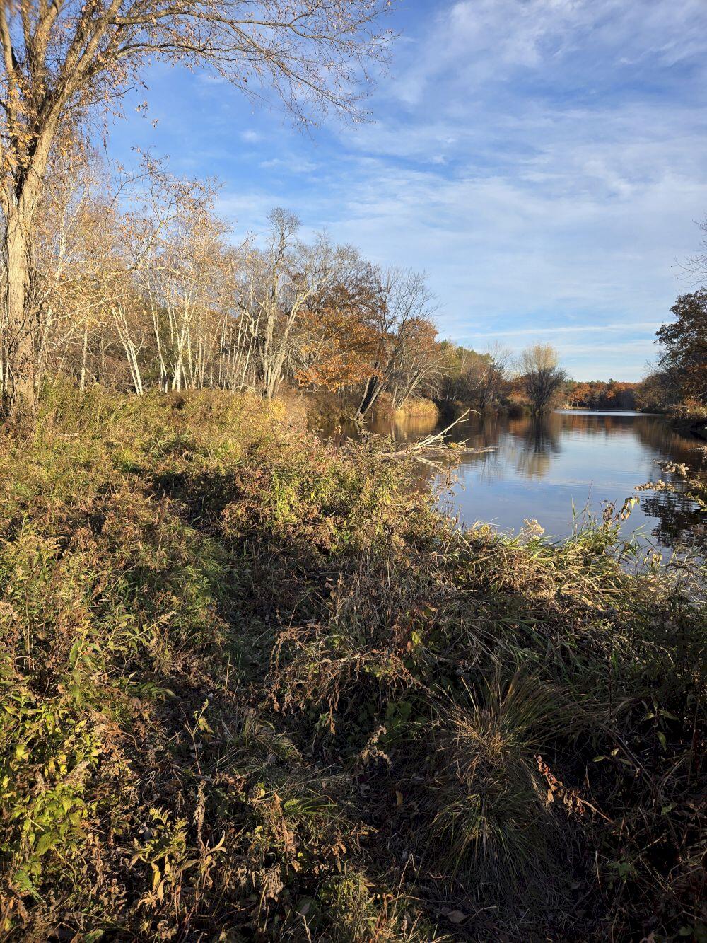 20251028_163002_result