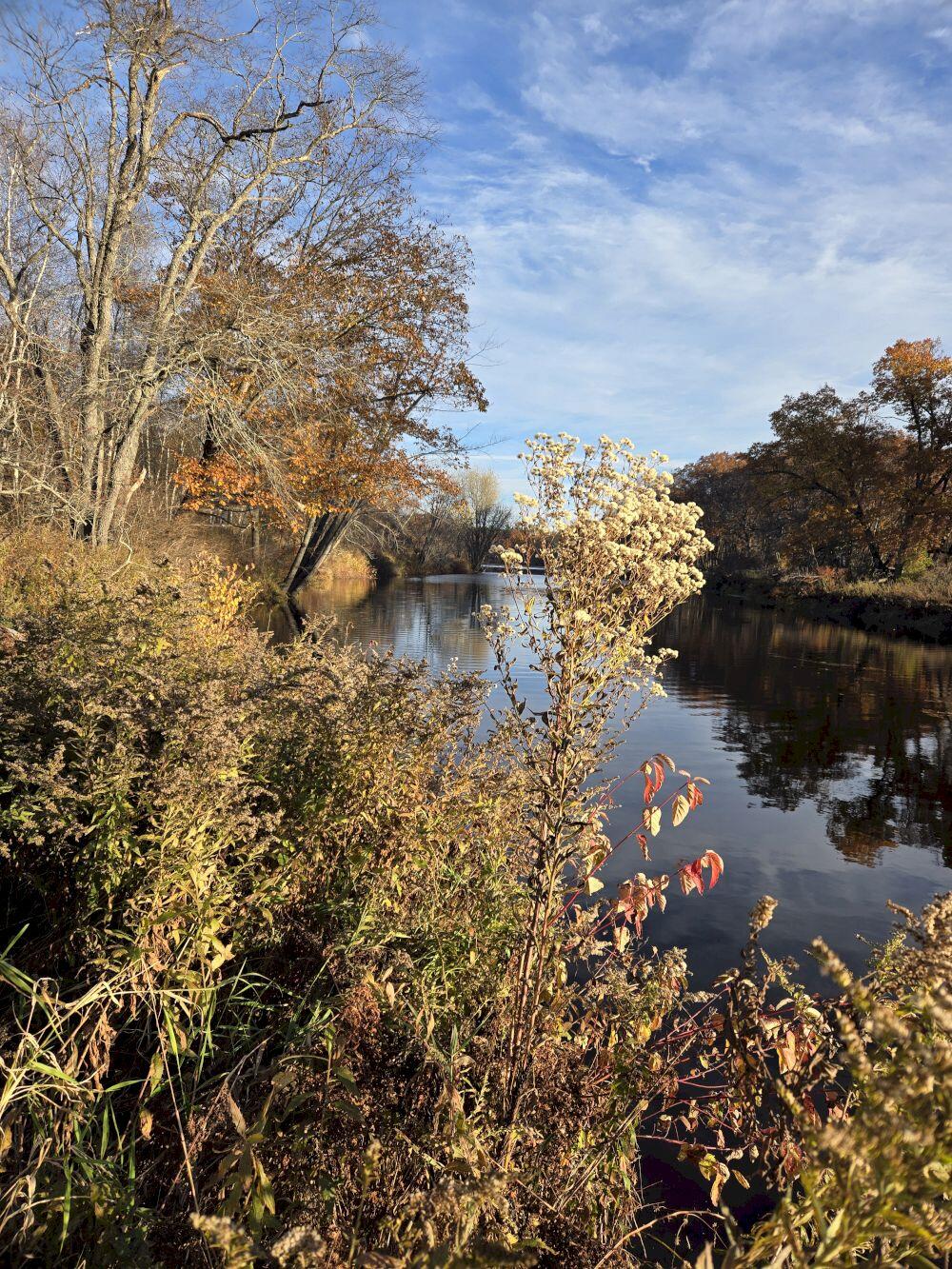 0 Intervale Road Jay, ME 04239 - Photo 2 of 6 20251028_162640_result