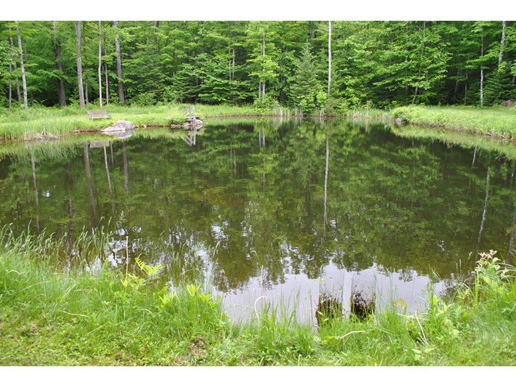959 Nichols Pond Road Hardwick, VT 05843 - Photo 3 of 20