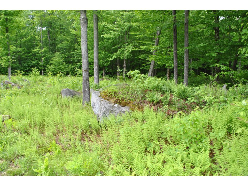 959 Nichols Pond Road Hardwick, VT 05843 - Photo 7 of 20
