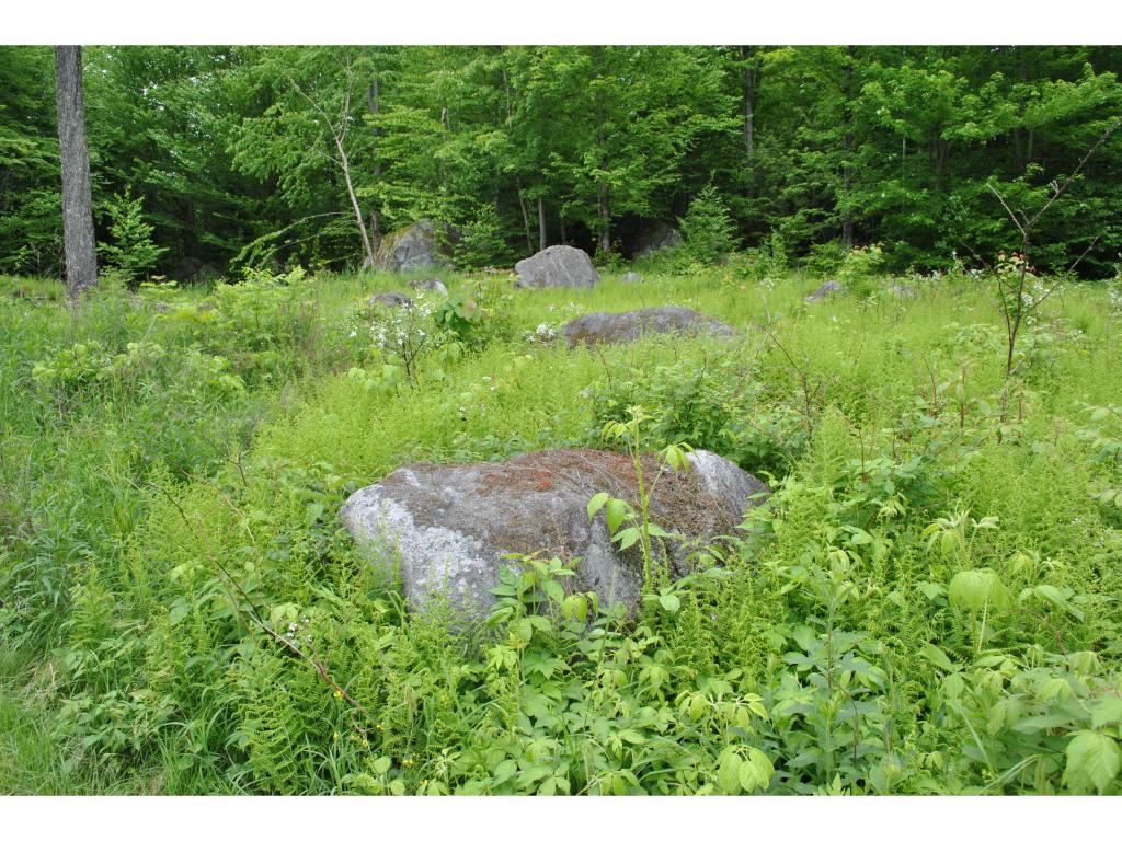 959 Nichols Pond Road Hardwick, VT 05843 - Photo 8 of 20