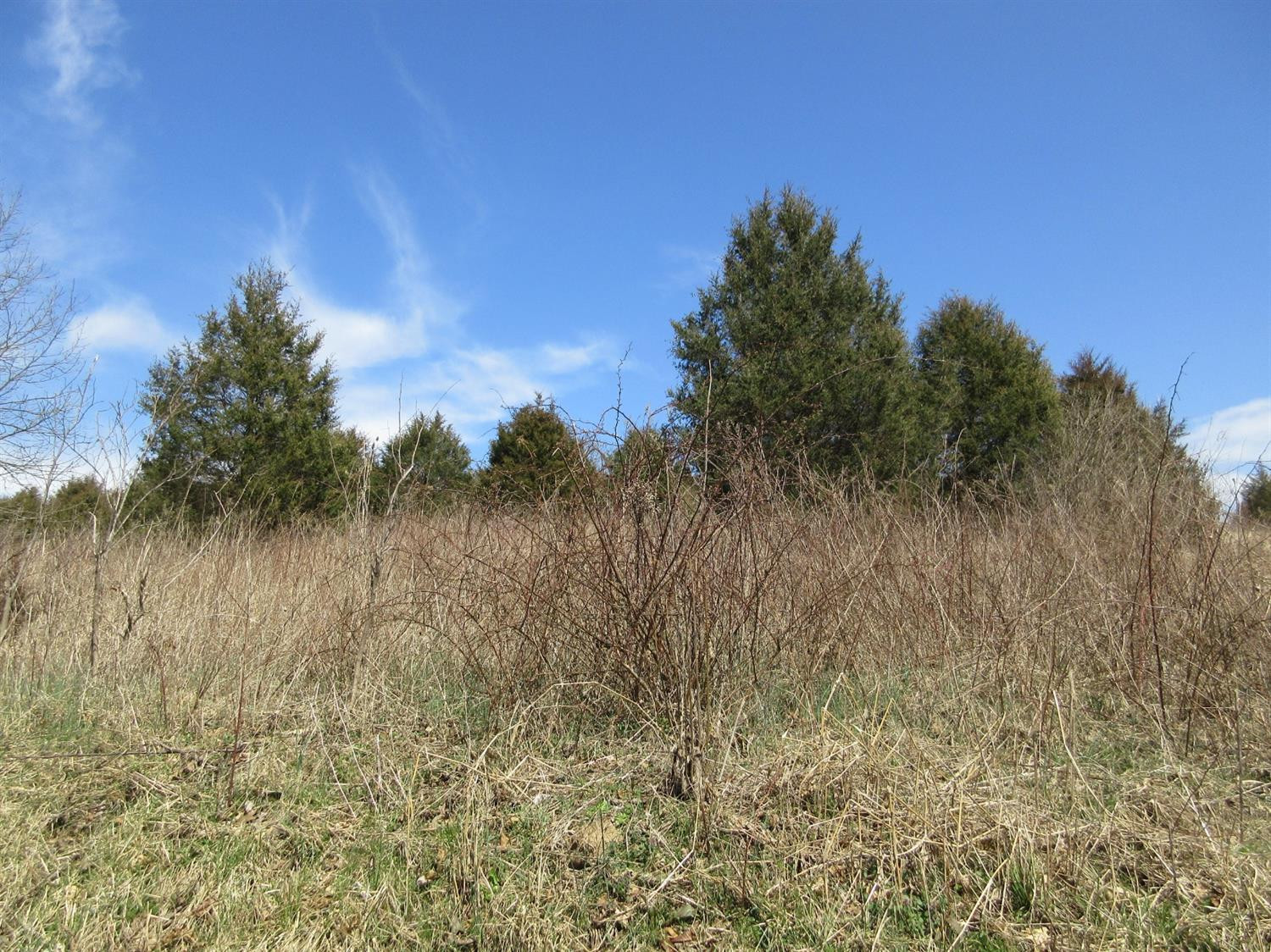 2305 Cole Road Winchester, KY 40391 - Photo 6 of 8 Photo 6