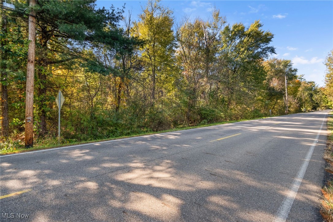 West Comet Road Clinton, OH 44216 - Photo 2 of 26 View of street