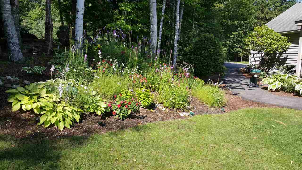 216 Green Hill Road Jackson, NH 03846 - Photo 25 of 38 Gallery Image 25