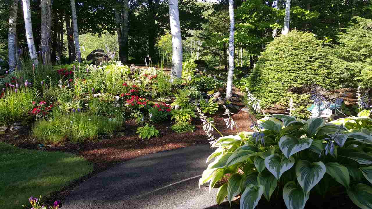 216 Green Hill Road Jackson, NH 03846 - Photo 26 of 38 Gallery Image 26
