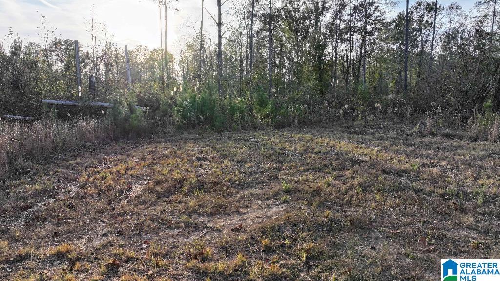 200 Kelly Creek Road Odenville, AL 35120 - Photo 20 of 47