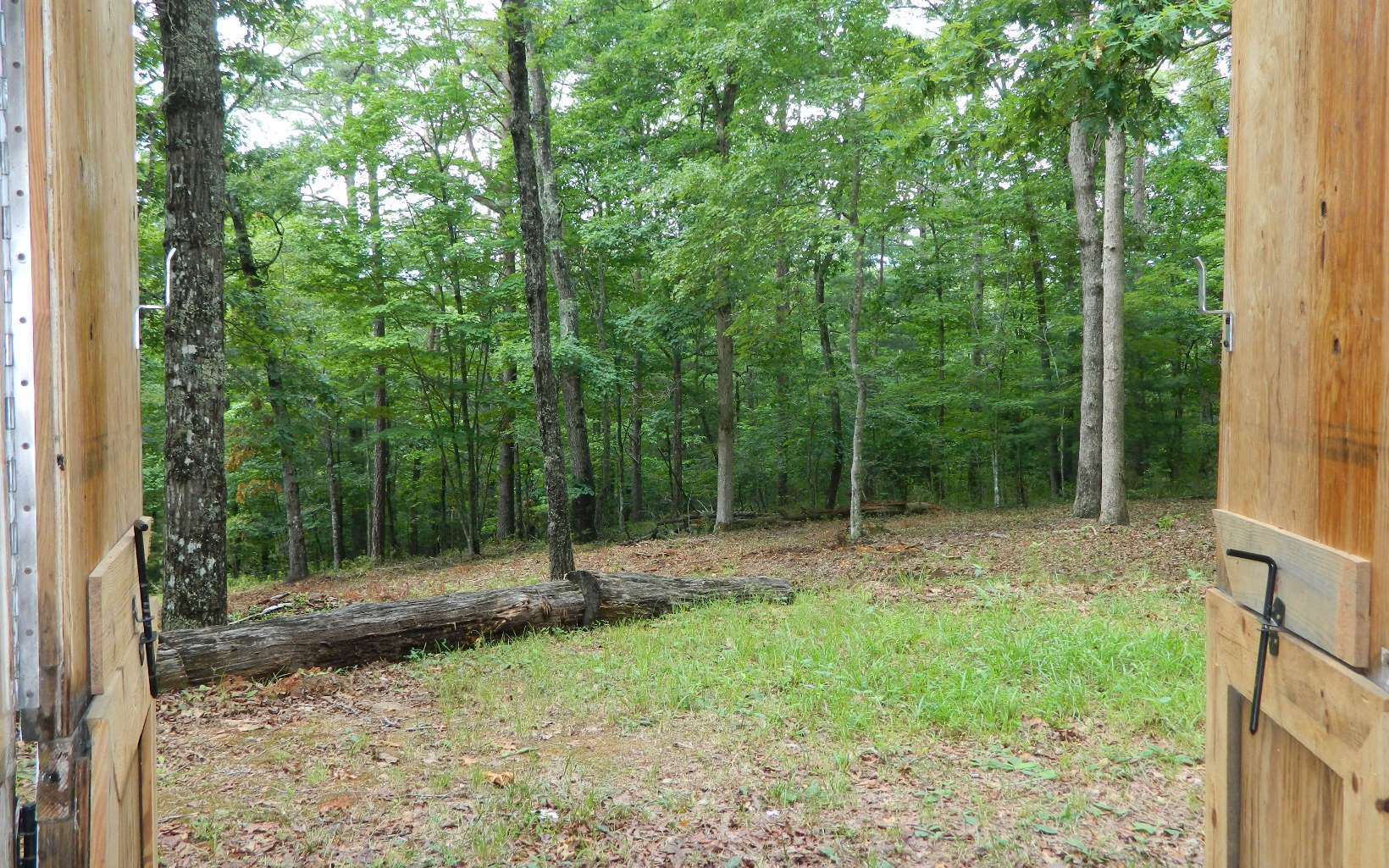 445 Autumn Road Mineral Bluff, GA 30559 - Photo 39 of 53 Additional View