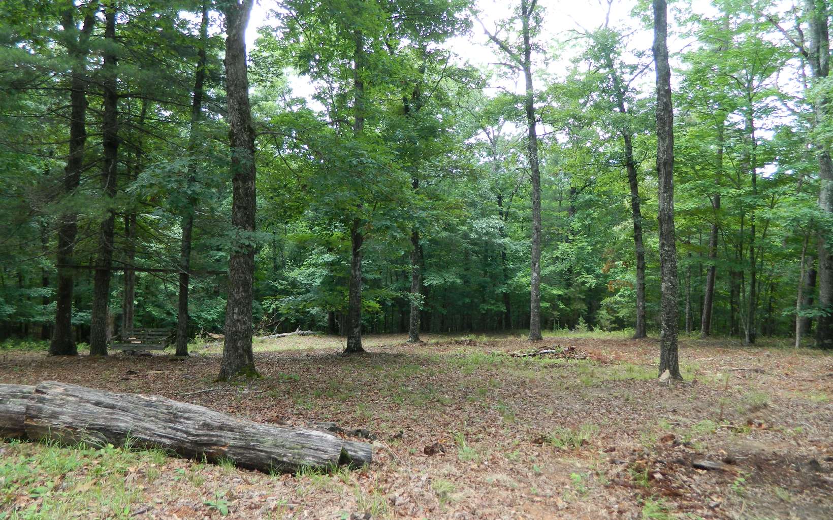 445 Autumn Road Mineral Bluff, GA 30559 - Photo 40 of 53 Additional View