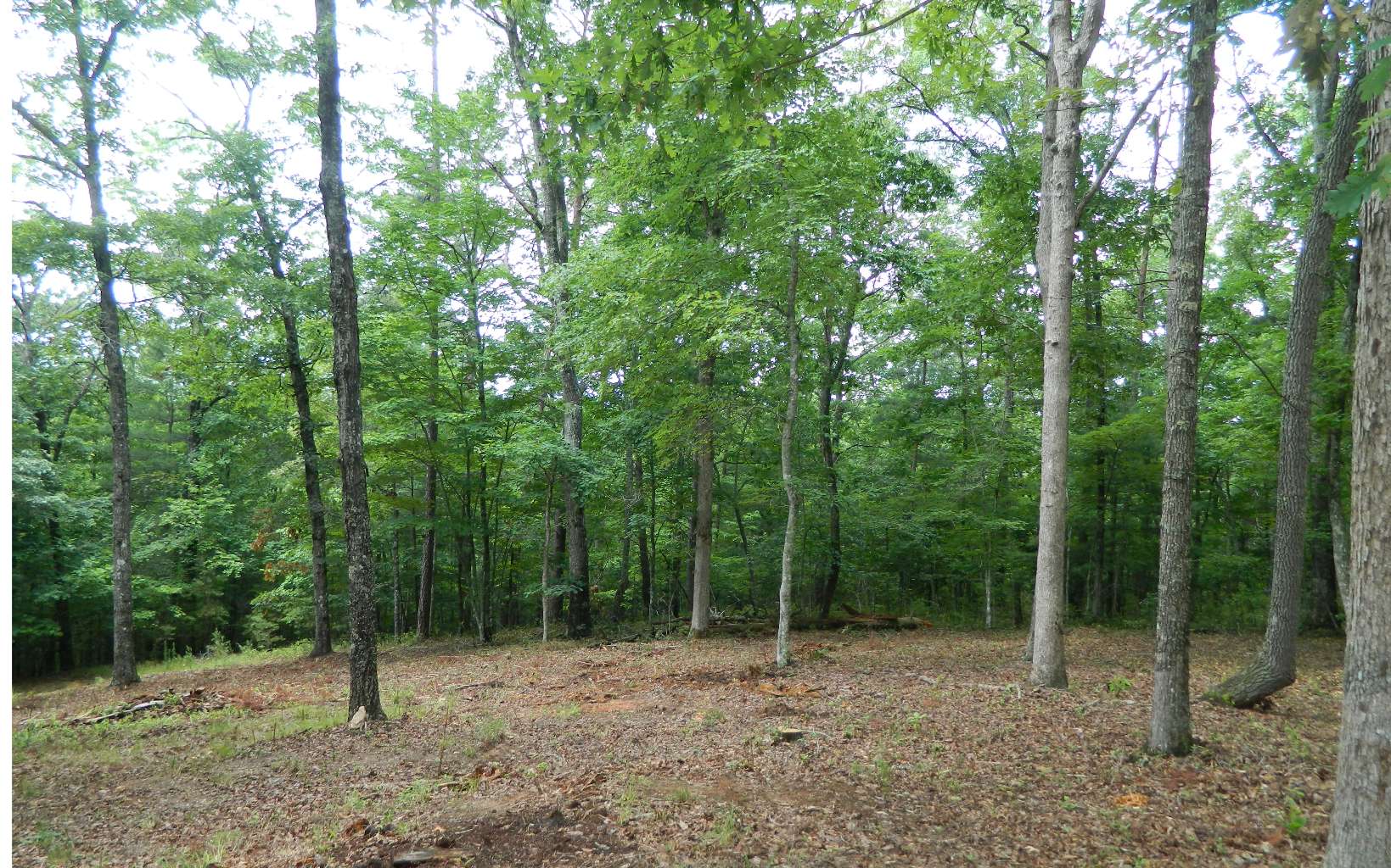 445 Autumn Road Mineral Bluff, GA 30559 - Photo 41 of 53 Additional View
