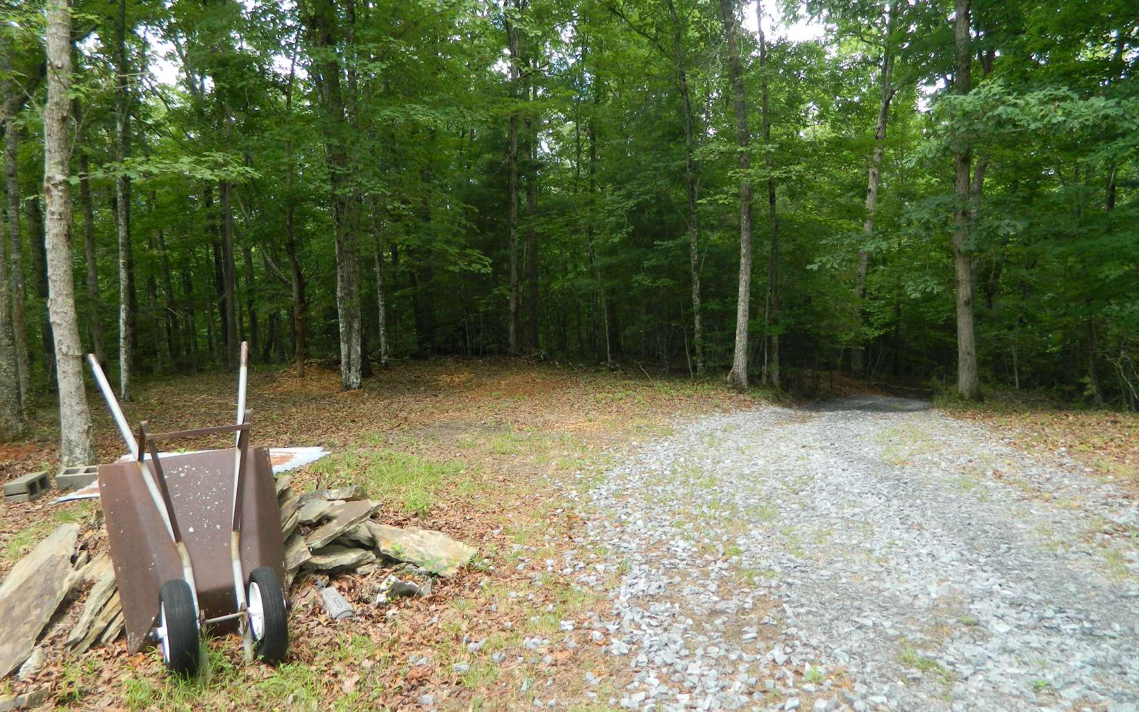 445 Autumn Road Mineral Bluff, GA 30559 - Photo 42 of 53 Additional View