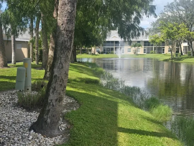 a view of a house with a yard and a large tree