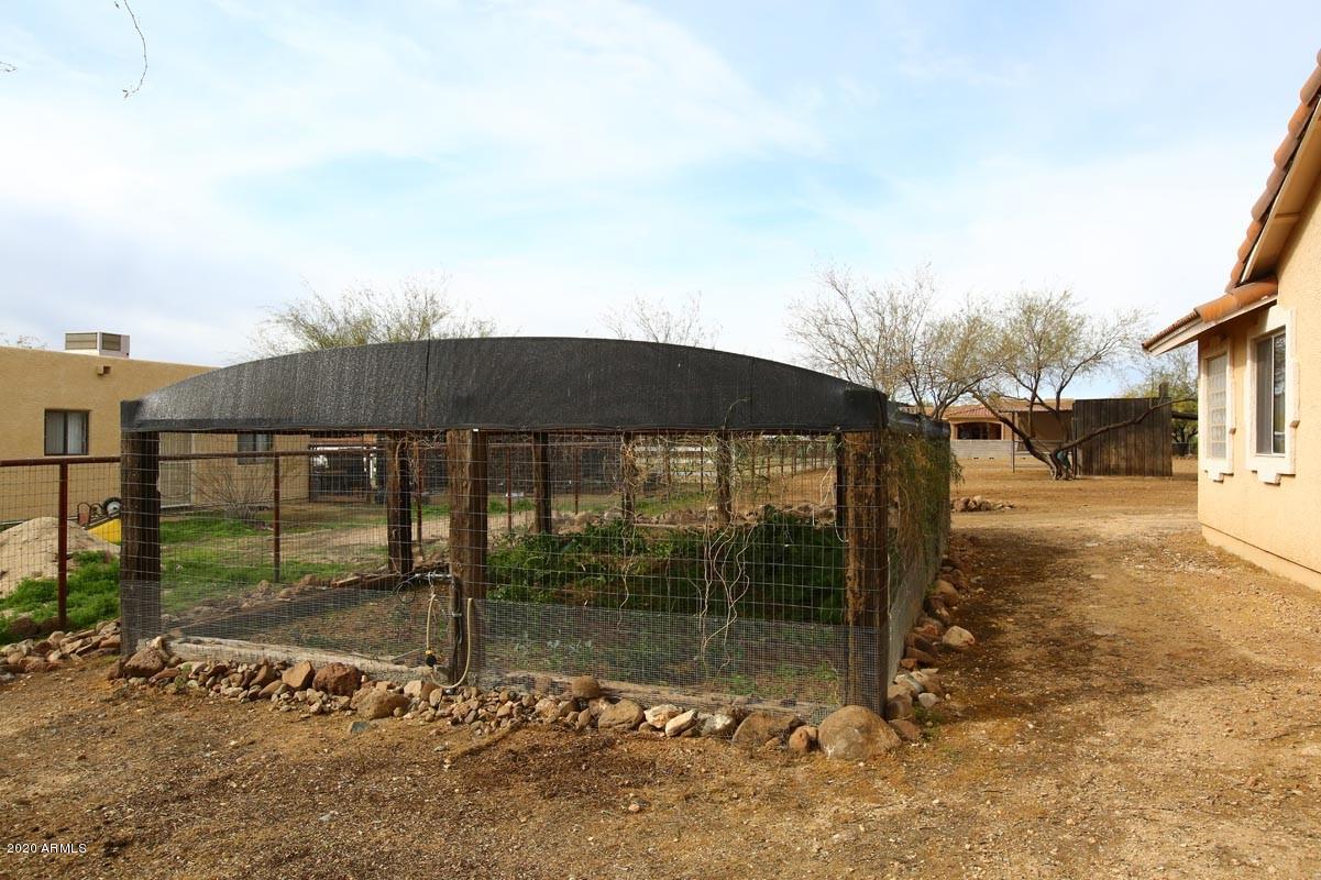 2331 West Irvine Road Phoenix, AZ 85086 - Photo 21 of 50 Enclosed Garden (1)