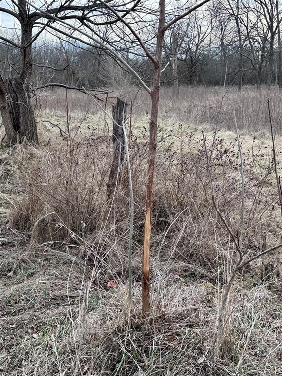 0 Columbia Road Paola, KS 66071 - Photo 15 of 36