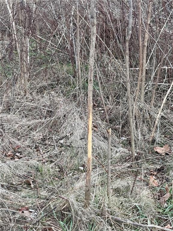 0 Columbia Road Paola, KS 66071 - Photo 10 of 36